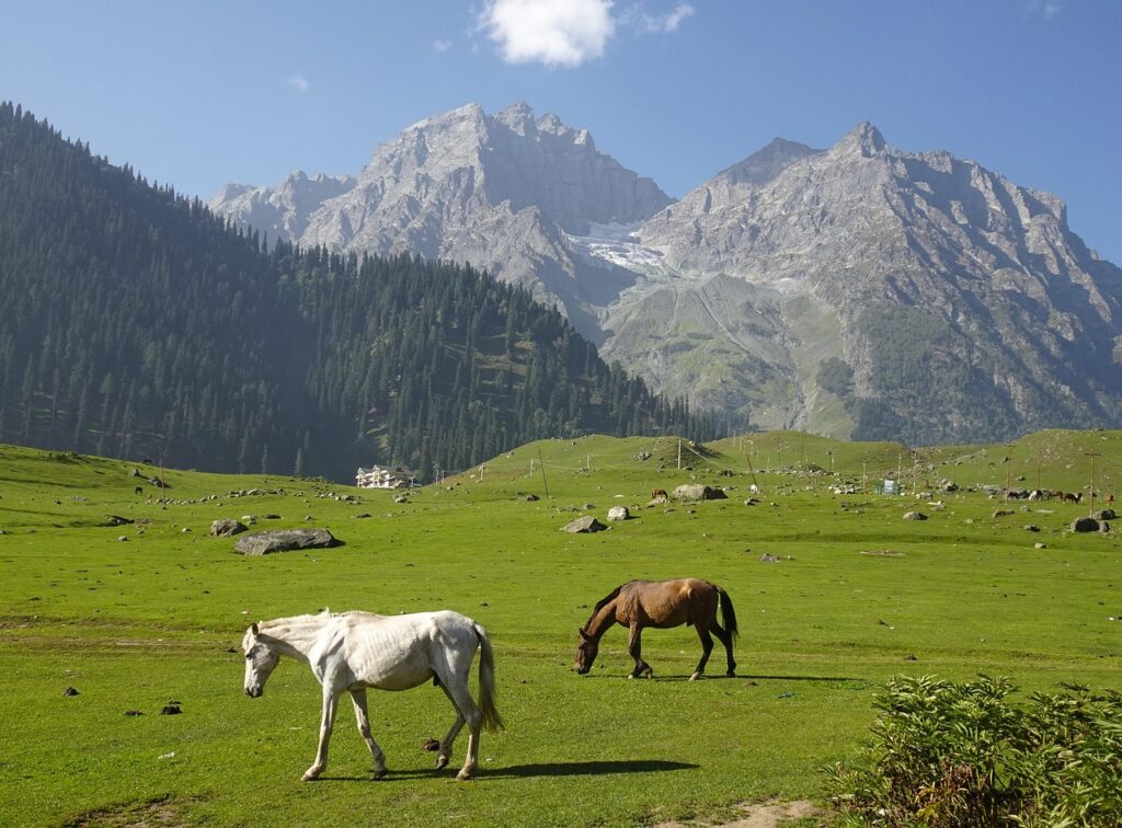 Doodhpathri meadow kashmir
