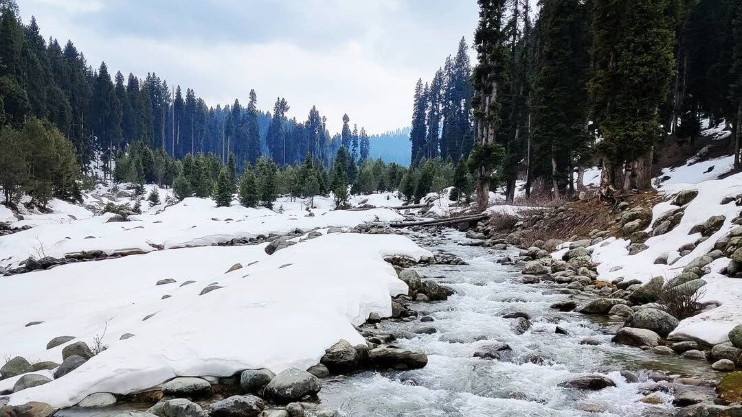 "Crystal-clear river flowing through pine forest in Doodhpathri, Kashmir"