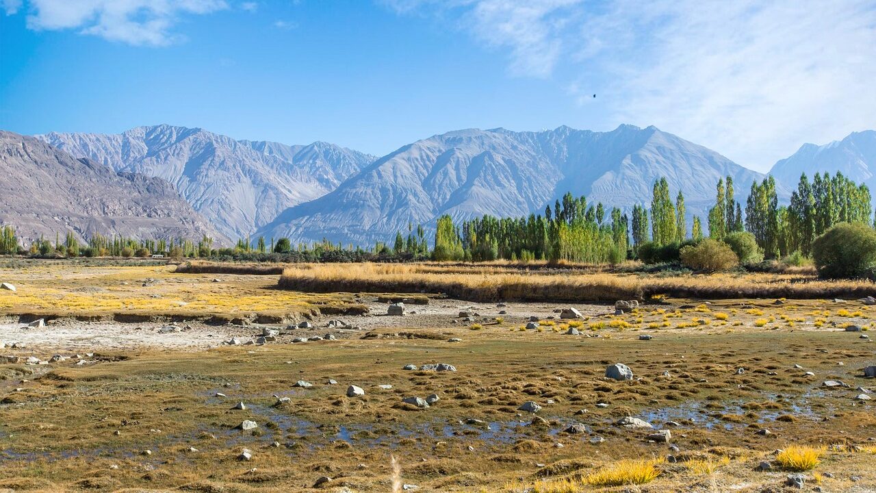 A quiet mountain village with apricot trees and stone houses in Turtuk, Ladakh