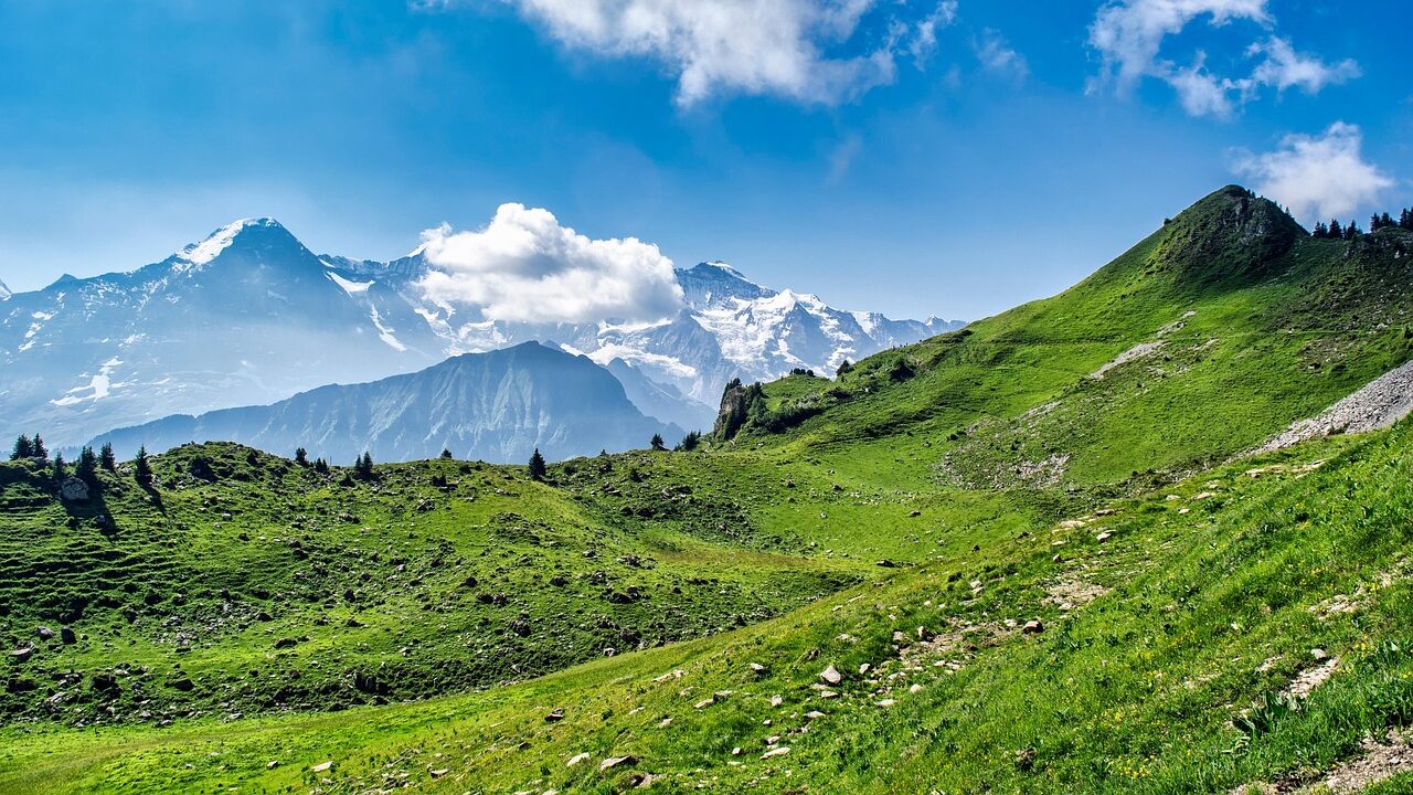 Valley of flowers