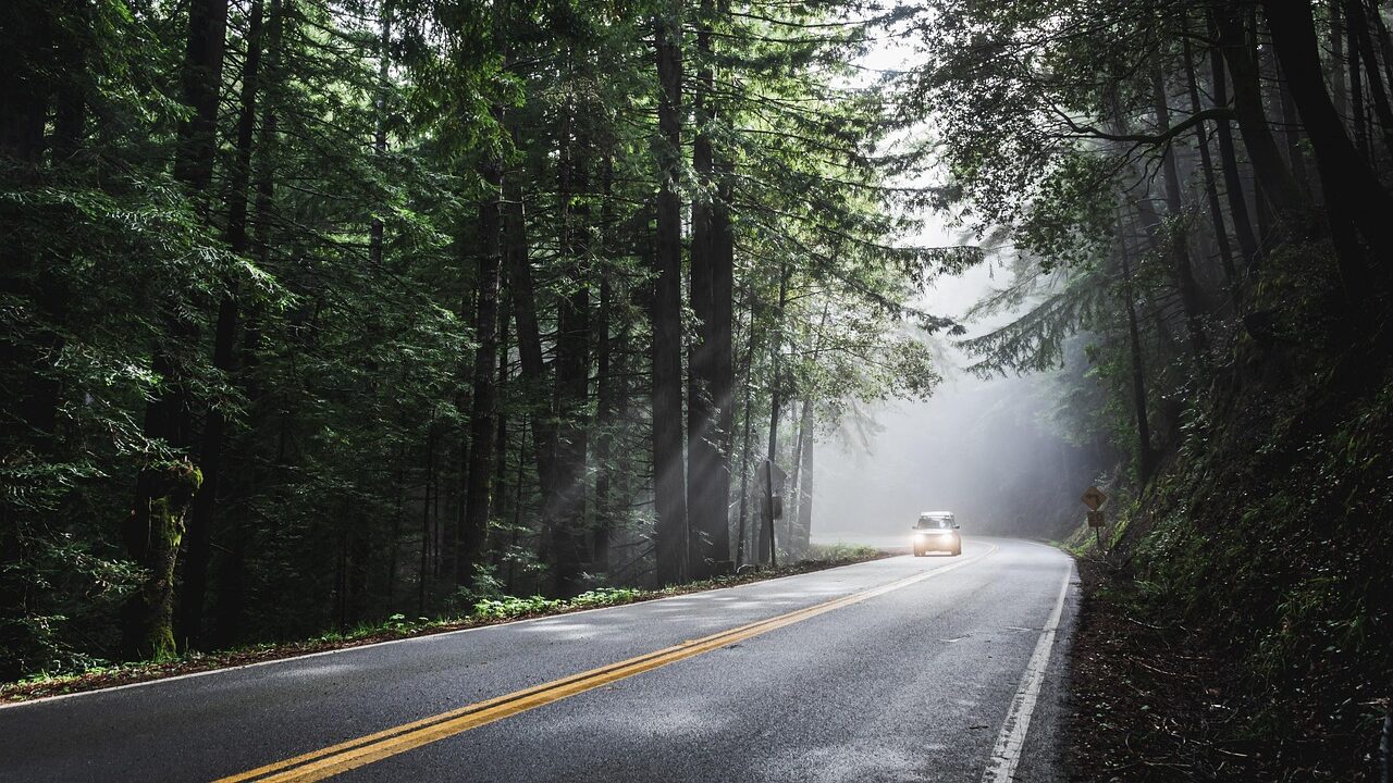 Scenic monsoon road winding through lush green hills in India with misty clouds and rain-soaked trees
