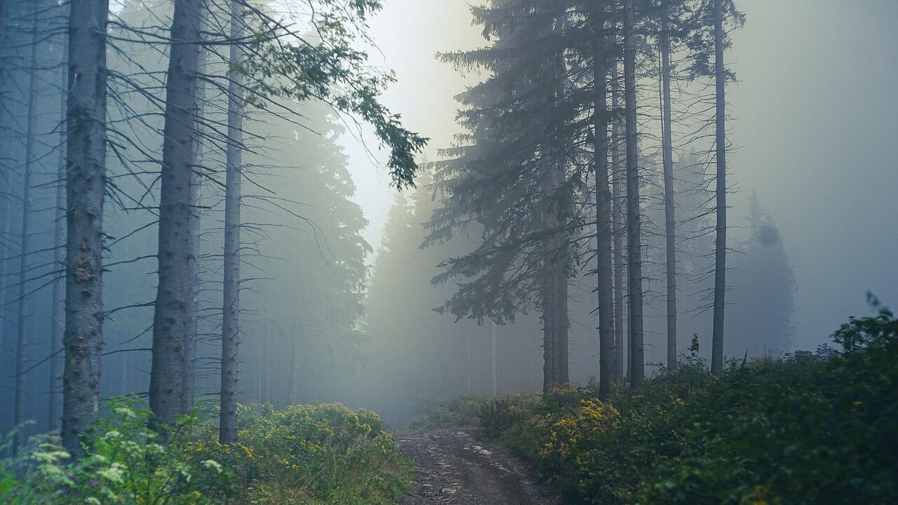 Agumbe, Karnataka