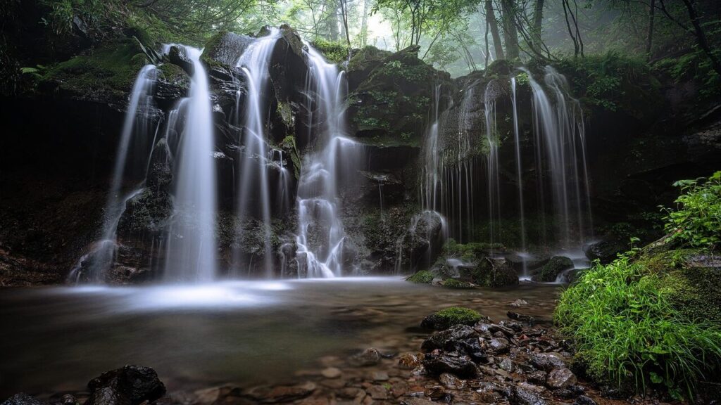 Meghalaya